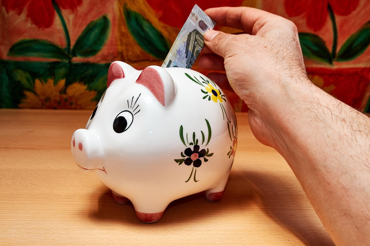 savings, piggy bank, hand, money, save up, ceramic, finance, pig, euro, piggy, save money, banknotes, porcelain, cash injection, figure, economical, piggy bank, piggy bank, piggy bank, piggy bank, piggy bank, save money