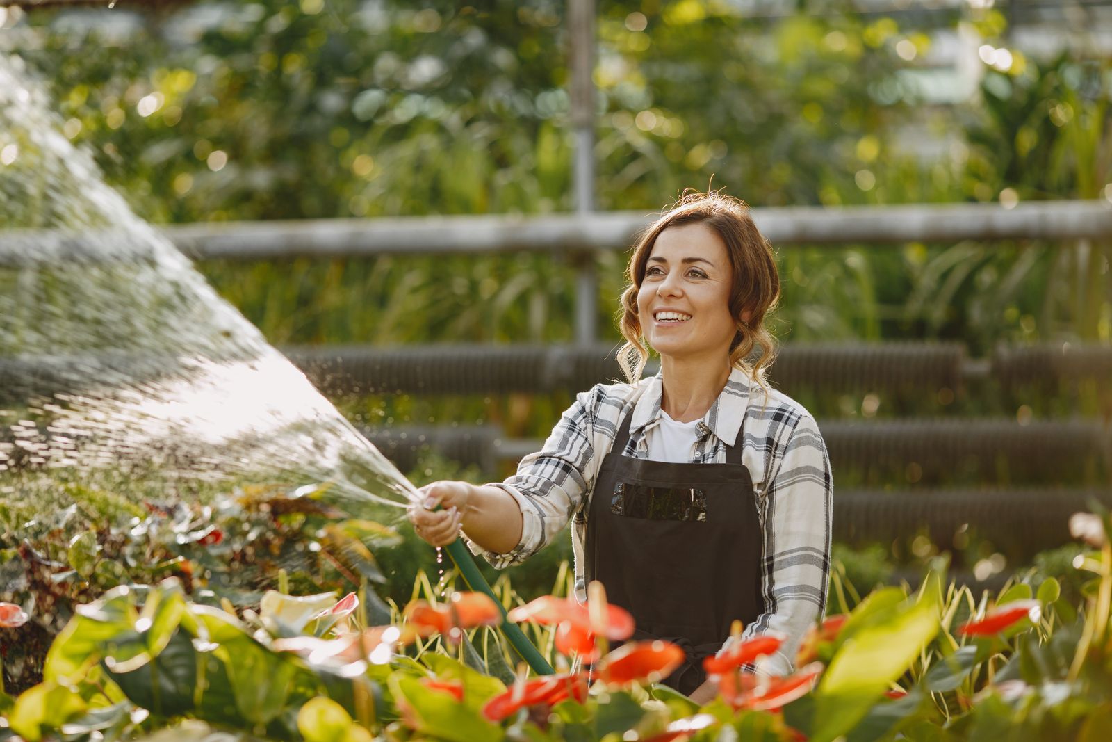 An adult watering garden plants, doing the task later than planned